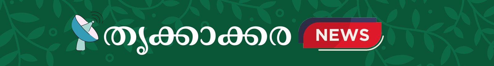 spot_img